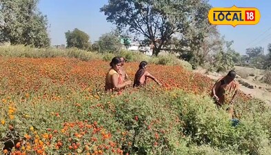 फूलों की खेती