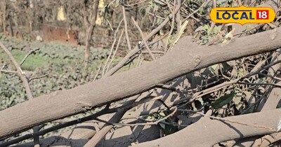 कोयला डस्ट प्रदूषण से बढ़ता स्वास्थ्य संकट धनबाद के डीवाडीह–सिंफर क्षेत्र में 2