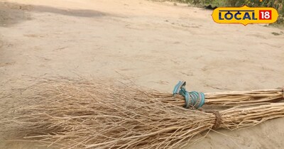 सरसों का डंठल 