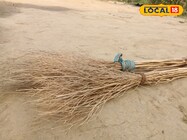 गांव के किसानों के लिए सोने जैसी कमाई, सिर्फ डंठल से बनाएं मुनाफा, जानिए तरीका