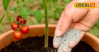 राख का इस्तेमाल