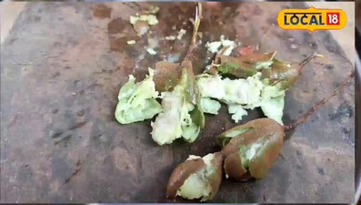 सिलबट्टे में बनी बस्तर की इमली चटनी, स्वाद और सेहत दोनों का खजाना