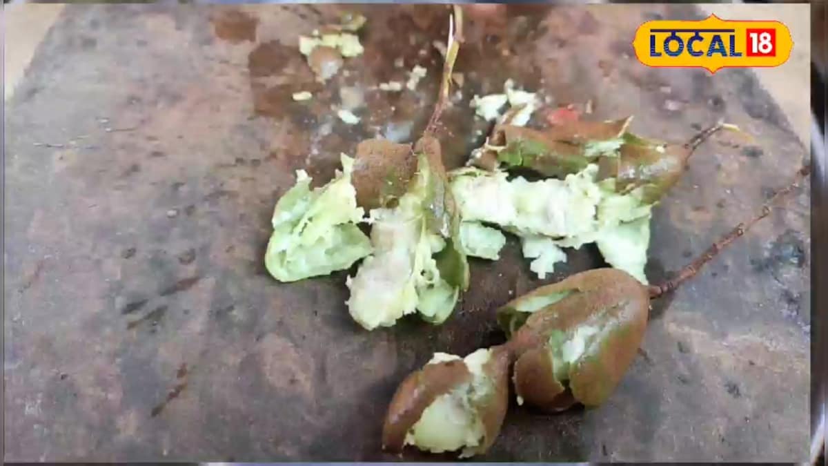 चखी है सिलबट्टे वाली कच्ची इमली की चटनी? बस्तर वालों की फेवरेट, देखें रेसिपी