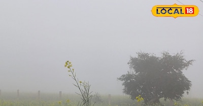 खेत में छाया कोहरा