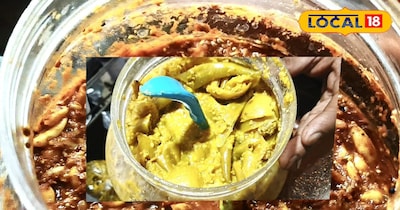 मिर्ची लहसुन का अचार