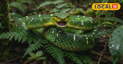 प्रतीकात्मक तस्वीर 