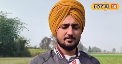 राजमा की खेती।