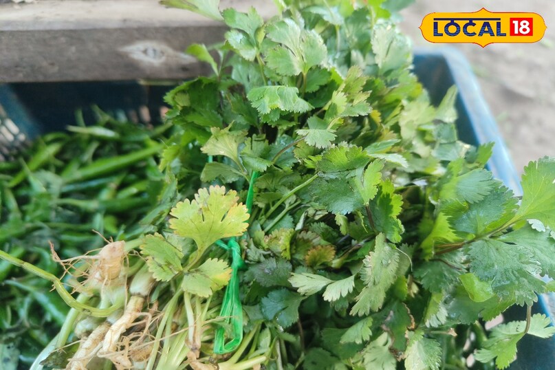 It is beneficial to store it with the roots It is beneficial to store it with the roots