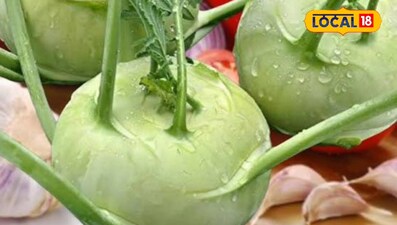 गांठ गोभी की फसल पर रोगों का खतरा, समय पर इलाज से बचेगा नुकसान