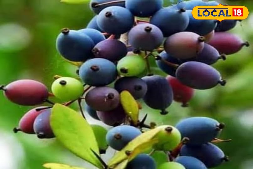 সংরক্ষণ করা প্রয়োজন 