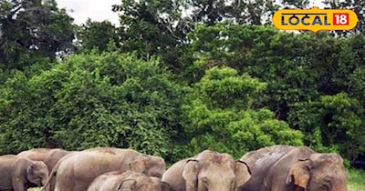 सांकेतिक फोटो.