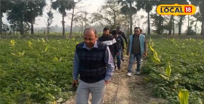 खेतों का जायज़ा लेते जिला उद्यान पदाधिकारी डॉ . अमरजीत कुमार राय 