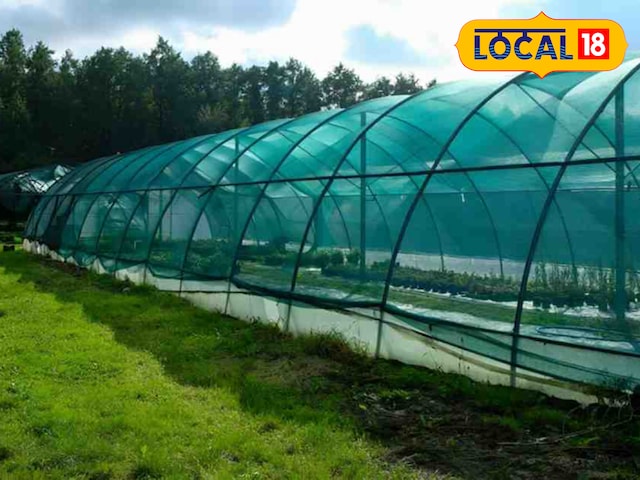 रोहतास में हाईटेक बागवानी को बढ़ावा, शेडनेट हाउस पर  मिलेगा 75% तक अनुदान