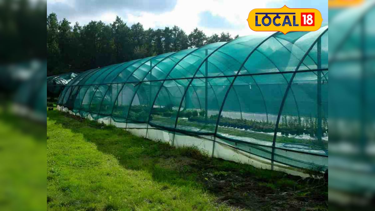 रोहतास में हाईटेक बागवानी को बढ़ावा, शेडनेट हाउस पर किसानों को मिलेगा 75% तक अनुदान