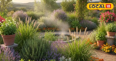 मच्छरों से निजात पाने के आसान उपाय 