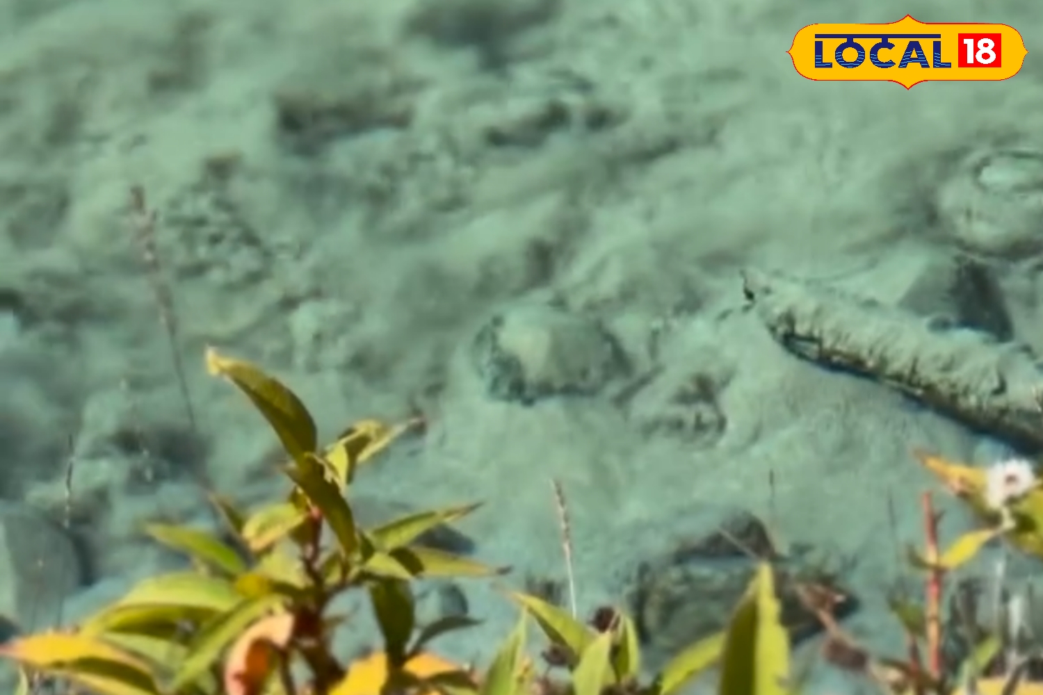 The Mystery of Mangalachhu Lake The Mystery of Mangalachhu Lake