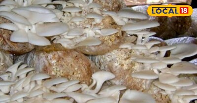 प्रतीकात्मक