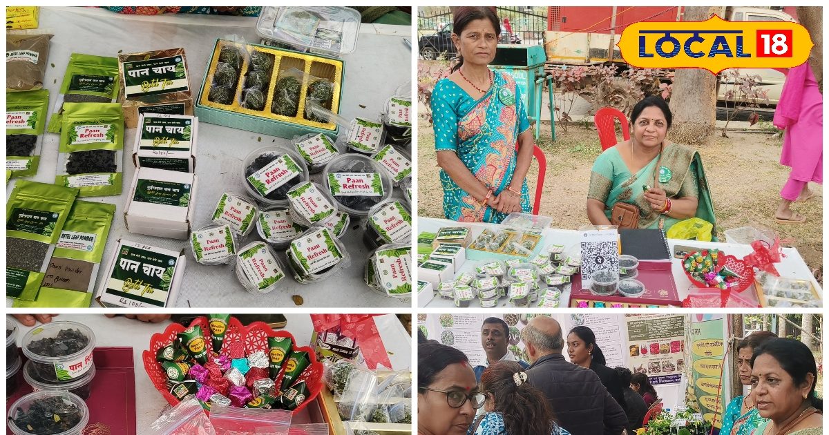 Business – बीड़ा से बिजनेस तक, छत्तीसगढ़ के छुईखदान की महिलाओं ने पान को बना दिया ब्रांड – Chhattisgarh News – INA NEWS