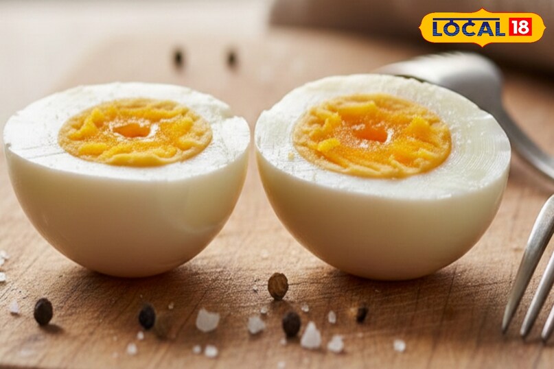 पूरा अंडा सही जवाब