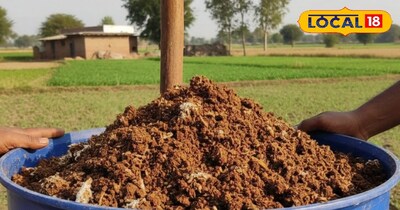 घन जीवामृत 