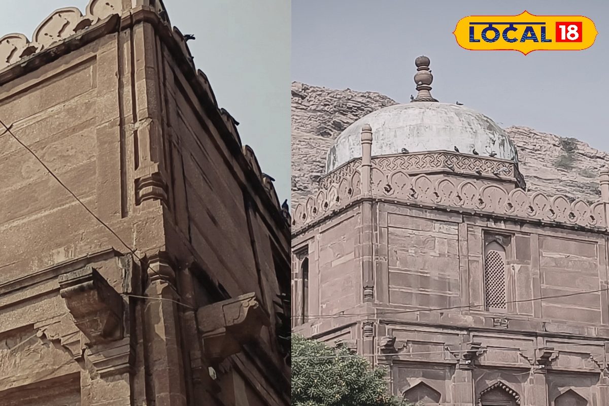 बैंक की कुर्सी छोड़ी खेत संभाला 8 बीघा में 18 फुट का गन्ना उगाया बदल दी खेती की सोच