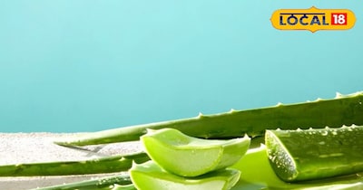 एलोवेरा जेल के फायदे