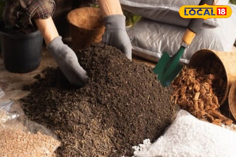 सही मिट्टी का मिश्रण सही मिट्टी का मिश्रण