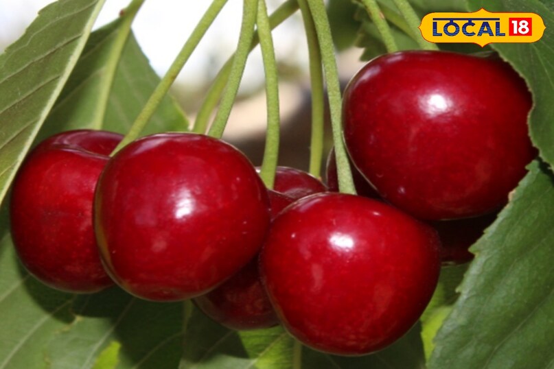 दिल को रखे जवां 