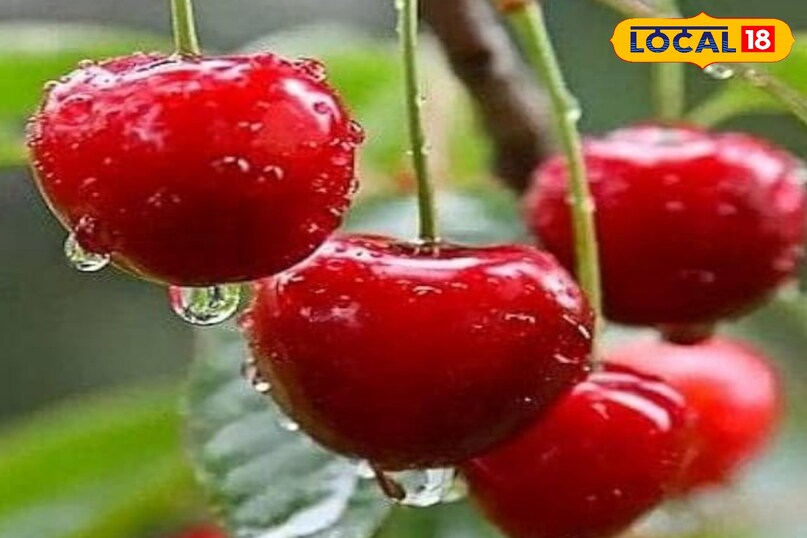 ब्लड शुगर और वजन