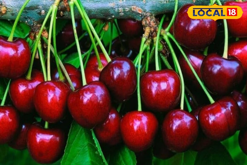 अच्छी नींद