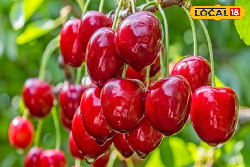 जोड़ों के दर्द