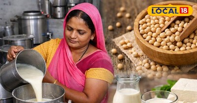 सोया मिल 