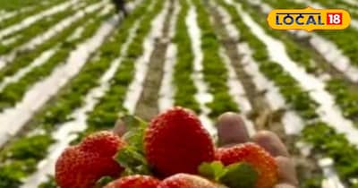 प्रतीकात्मक