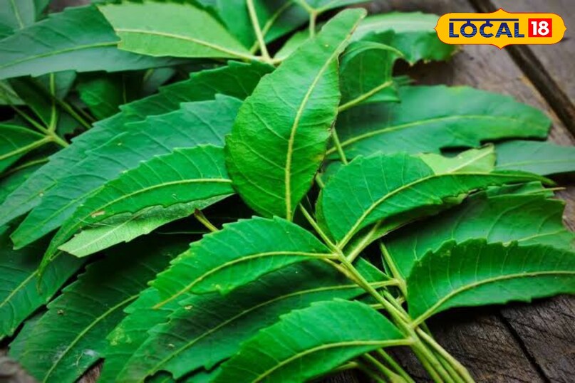 Improves Digestion & Gut Health