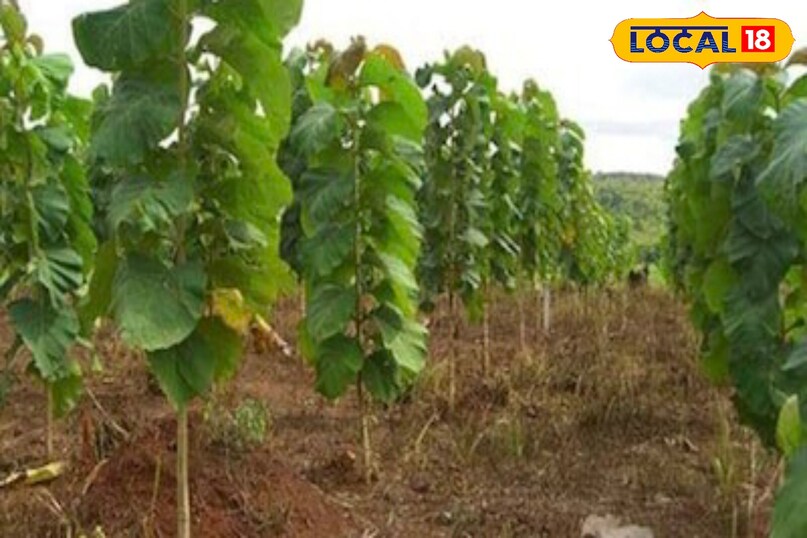 Moradabad news,hindi news,up news,local news, Moradabad news, Hindi news, UP news, local news. Moradabad news,hindi news,up news,local news, Moradabad news, Hindi news, UP news, local news.