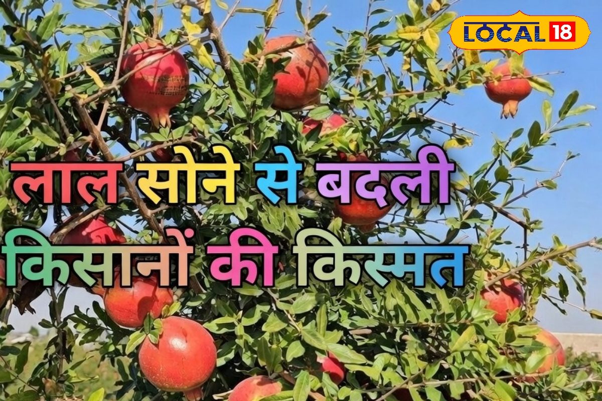 कभी पानी की किल्लत आज विदेशों में मांग!इस किसान की मान लिए तो खूब कमाओगे