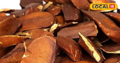 शुगर के लिए सूखे मेवे से बेहतर है कड़वा बादाम