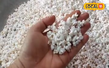 Amazing benefits of eating Vindhya Jowar Popcorn, effective in weight loss, suga