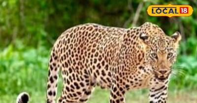 प्रतीकात्मक