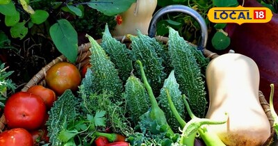 घर की बालकनी बनेगी सब्जियों की फैक्ट्री, किचन गार्डन के ये देसी नुस्खे कर देंगे