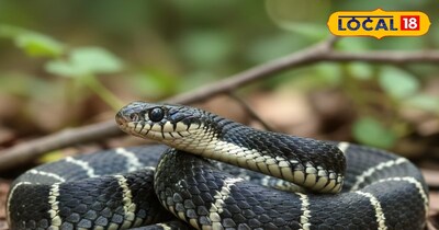 प्रतीकात्मक तस्वीर