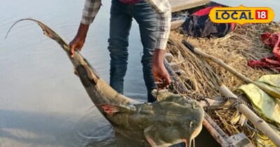 प्रतीकात्मक तस्वीर 