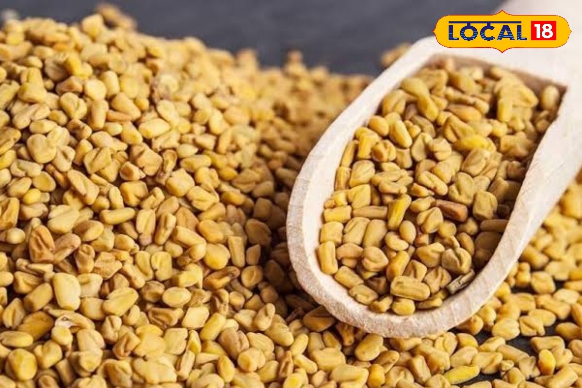 एक चम्मच मेथी कई बीमारियों पर भारी! शुगर से PCOS तक भिगोई मेथी दाना कैसे बदलती है शरीर का संतुलन देखें वीडियो