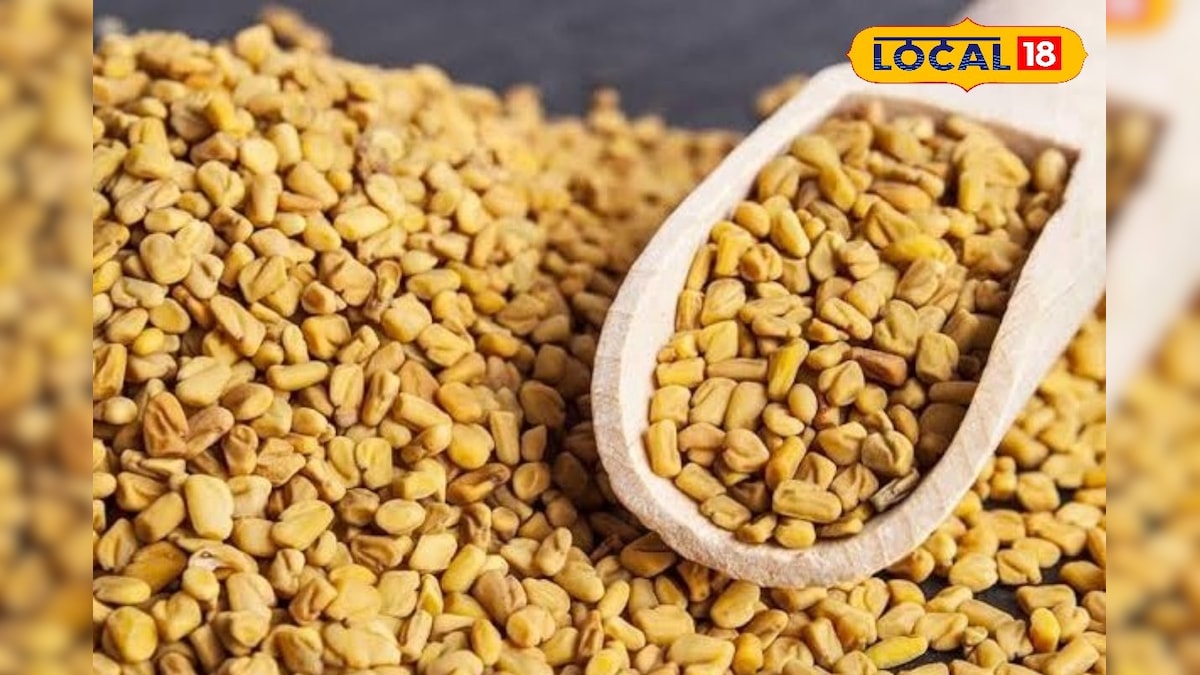 एक चम्मच मेथी, कई बीमारियों पर भारी! शुगर से PCOS तक, भिगोई मेथी दाना कैसे बदलती है शरीर का संतुलन, देखें वीडियो