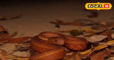 प्रतीकात्मक तस्वीर 