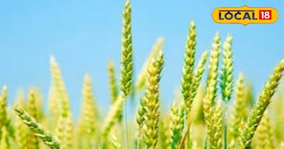 प्रतीकात्मक