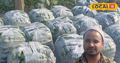 कम लागत, ज्यादा मुनाफा 40 दिन में तैयार फसल से एक बीघा में 70–80 हजार की कमाई