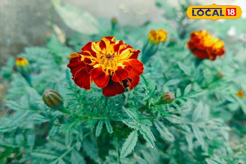 Tips and Tricks Tips and Tricks