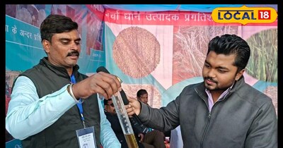 प्रतीकात्मक तस्वीर 