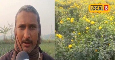 जानकारी देते किसान नरेश कुमार 